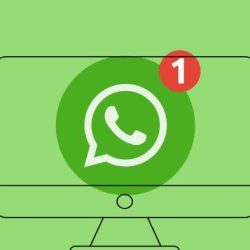 Mentransfer Obrolan WhatsApp Dari Android Ke IOS